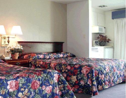 אלאמדה Coral Reef Inn & Condo Suites חדר תמונה