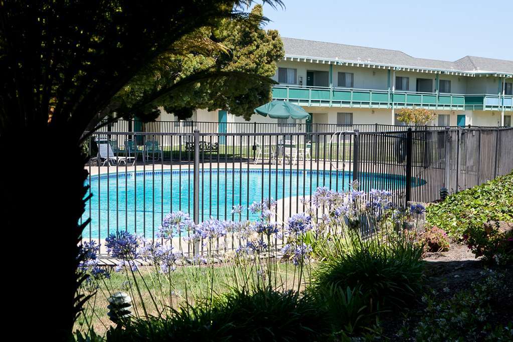 אלאמדה Coral Reef Inn & Condo Suites מתקנים תמונה